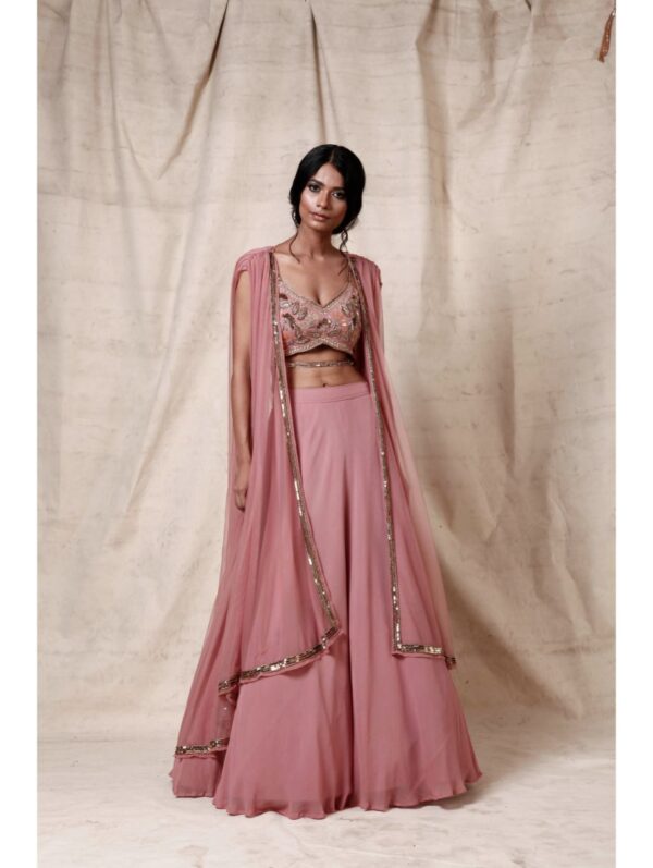 Esha Koul- Onion pink  Crop top set