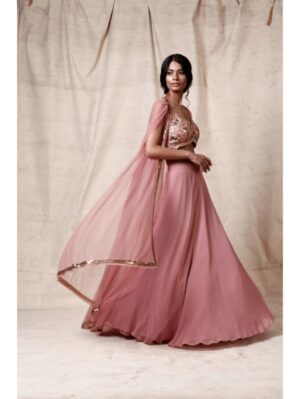 Esha Koul- Onion pink  Crop top set - Image 3