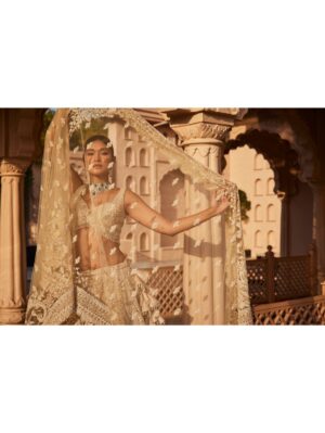Kalighata - Ivory heavily embroidered lehenga - Image 3