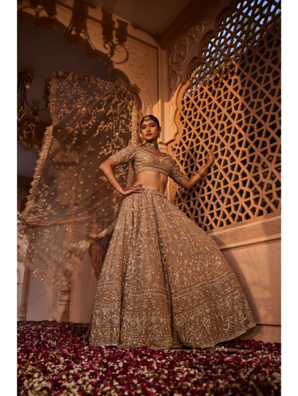 Kalighata - Gold organza lehenga
