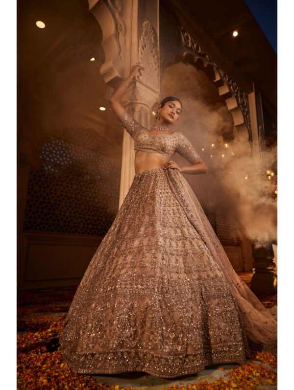 Kalighata - Dust peach organza lehenga