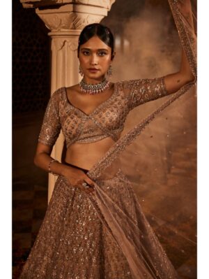 Kalighata - Dust peach organza lehenga - Image 3
