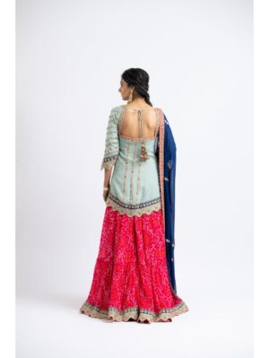 Nikita Gujral- GEORGETTE KURTA AND DUPATTA WITH TIERRED BANDHEJ SHARARA GOTA EMBROIDERY - Image 4