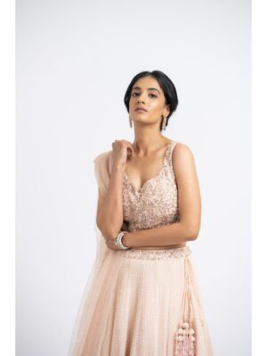 Nikita Gujral- BLUSH PINK LEHENGA  CHOLI SET - Image 5