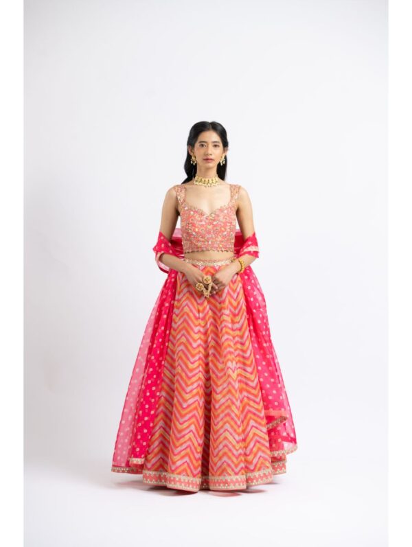 Nikita Gujral- CORAL ORGANZA PRINTED LEHEHENGA CHOLI SET