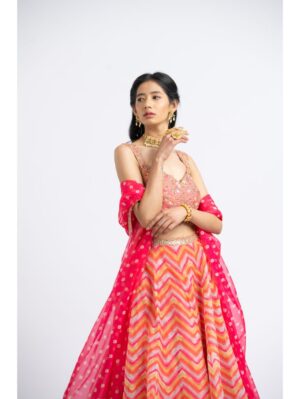 Nikita Gujral- CORAL ORGANZA PRINTED LEHEHENGA CHOLI SET - Image 2