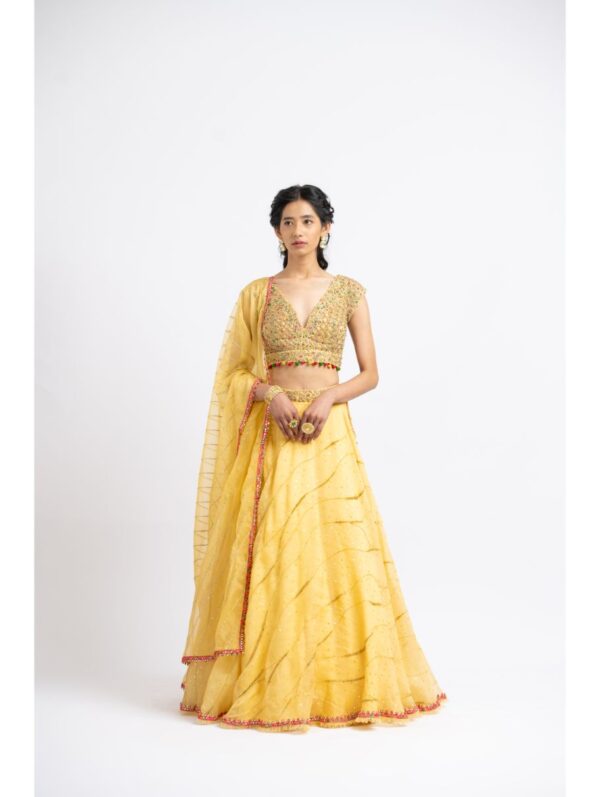 Nikita Gujral- SUNBURST YELLOW ORGANZA LEHENGA SET