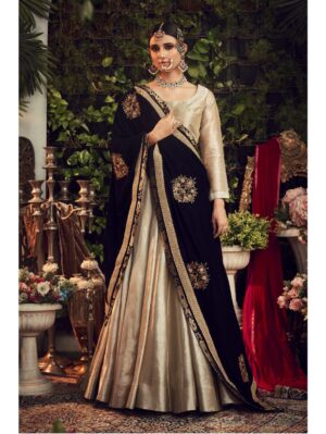 Ranian - CHAMPAGNE LENGHA SET WITH VELVET DUPATTA SHAWL - Image 4