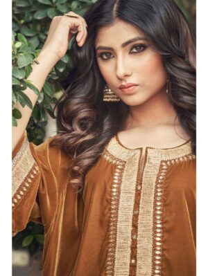 Ranian - SAND COLOUR VELVET KURTA WITH CHANDERI SALWAR - Image 3