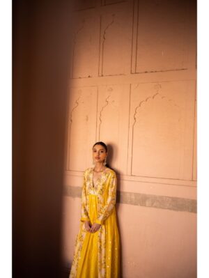 Label Anushree - Yellow embroidery yoke multipanel kurta with mul slip and printed pants - Image 3