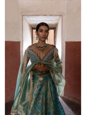 Aditi Gupta - Green Banarsi Chanderi Lehenga - Image 2