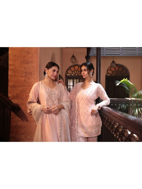 Kalighata - PEACH EMBROIDERD SUIT