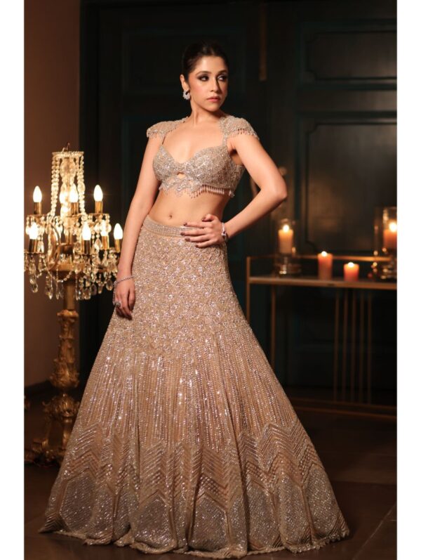 Isa by Dolly Wahal - Chrome Lehenga