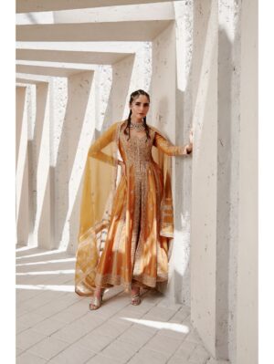 Jigar Mali -Tuscan mustard Jacket set - Image 2