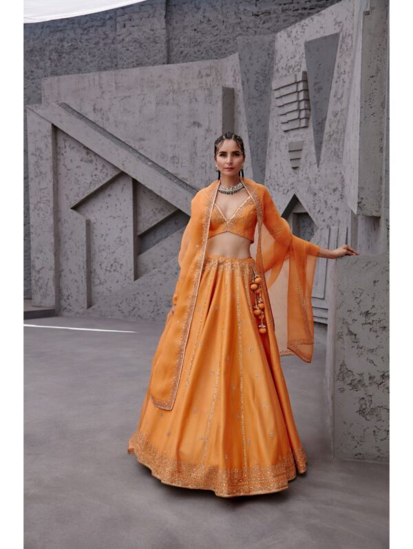 Jigar Mali - Tangerine orange lehenga set