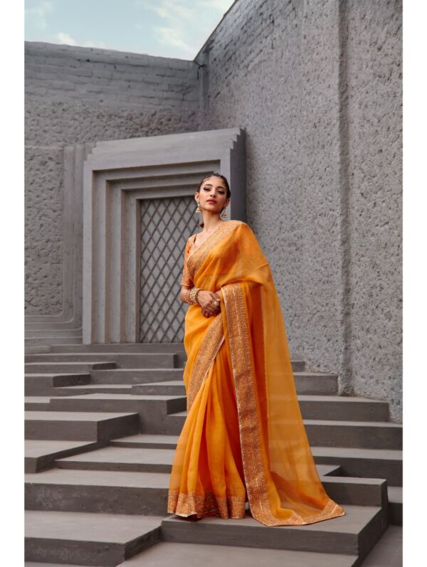 Jigar Mali - Tangerine orange saree set