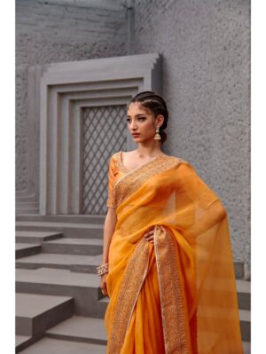 Jigar Mali - Tangerine orange saree set - Image 4