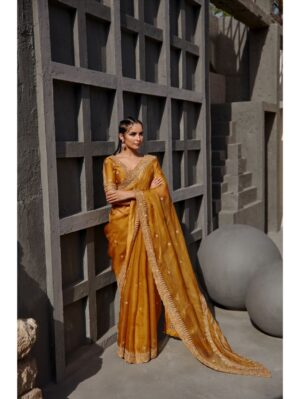 Jigar Mali - Tuscan mustard saree set - Image 2