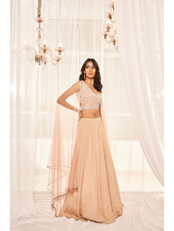 Disha Muchhala - BLUSH PINK LEHENGA SET