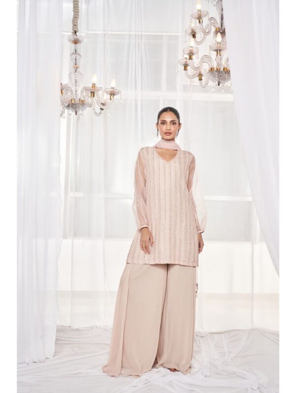 Disha Muchhala - DUSTY BEIGE PANT SET
