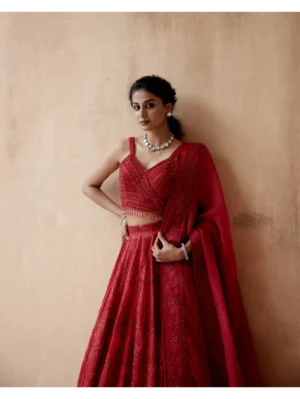 Aman Takyar - Red organza lehenga set with floral thread embroidery - Image 5