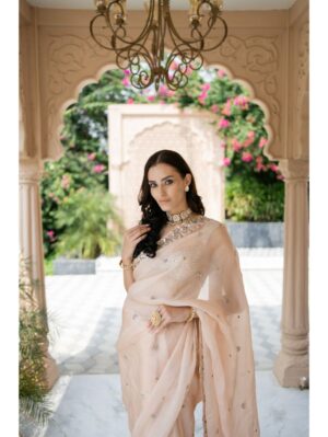 Esha Koul-  Blush Pink Saree - Image 2