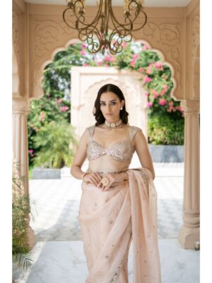 Esha Koul-  Blush Pink Saree - Image 3