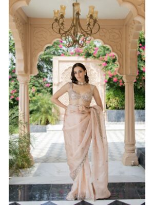 Esha Koul-  Blush Pink Saree - Image 4