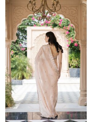 Esha Koul-  Blush Pink Saree - Image 5