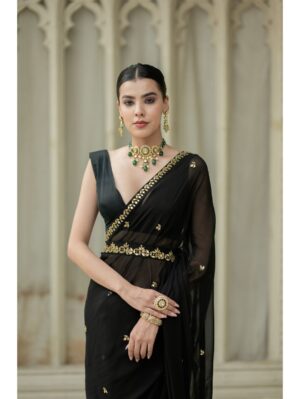 Esha Koul-  Black Saree - Image 4