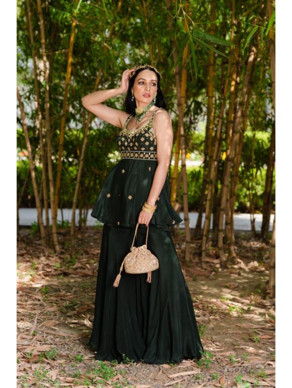 Rashika Sharma- AAISHA SHARARA SET