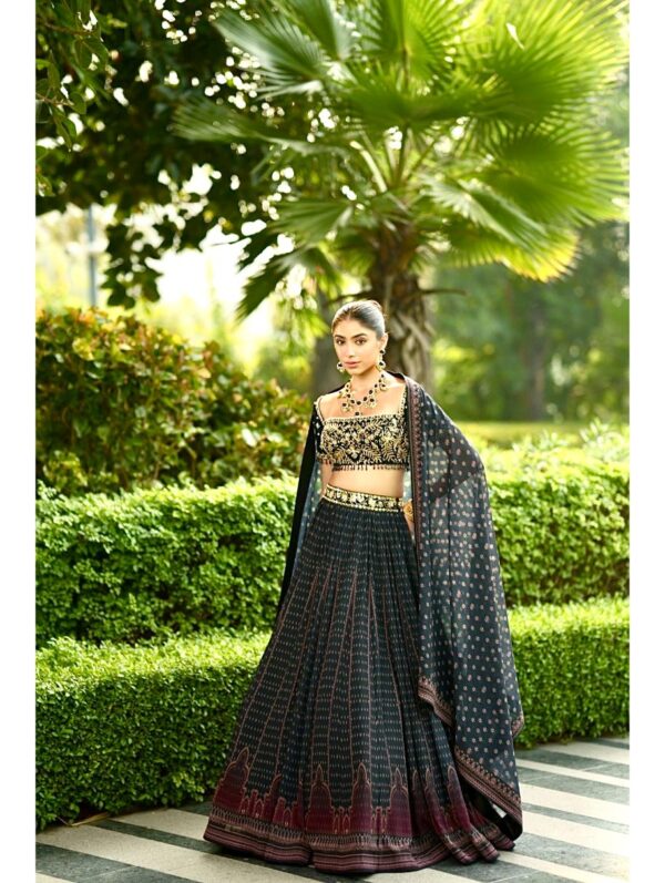 Rashika Sharma- Jahaan Lehenga Set