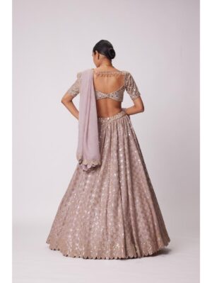 Vvani Vats -ASH PINK MIRROR FLOWER EMBROIDERED LEHENGA SET - Image 2