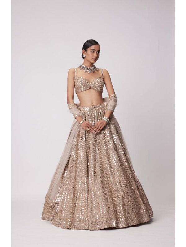 Vvani Vats - LIGHT BEIGE HAND EMBROIDERED LEHENGA SET