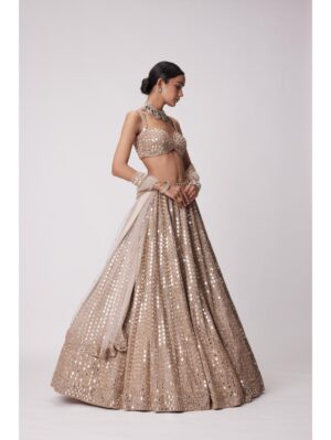 Vvani Vats - LIGHT BEIGE HAND EMBROIDERED LEHENGA SET - Image 7