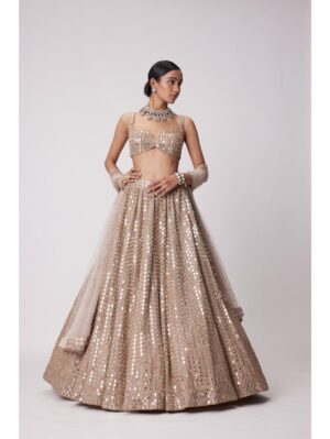 Vvani Vats - LIGHT BEIGE HAND EMBROIDERED LEHENGA SET - Image 3