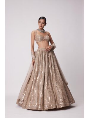 Vvani Vats - LIGHT BEIGE HAND EMBROIDERED LEHENGA SET - Image 2