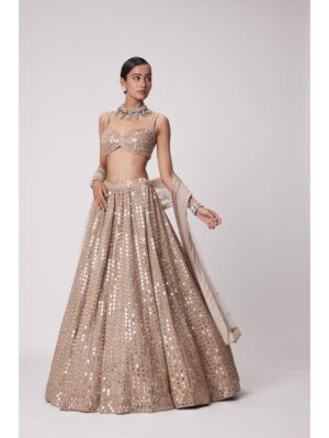 Vvani Vats - LIGHT BEIGE HAND EMBROIDERED LEHENGA SET - Image 5