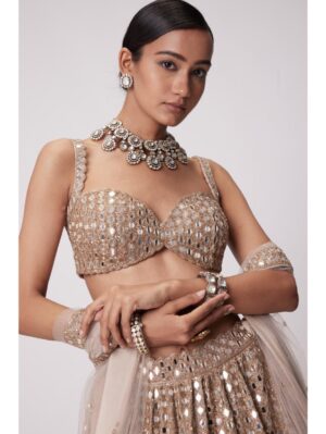 Vvani Vats - LIGHT BEIGE HAND EMBROIDERED LEHENGA SET - Image 4