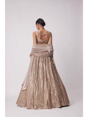 Vvani Vats - LIGHT BEIGE HAND EMBROIDERED LEHENGA SET - Image 6