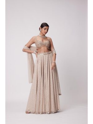 Vvani Vats -LIGHT BEIGE GEORGETTE LEHENGA PANTS SET - Image 4