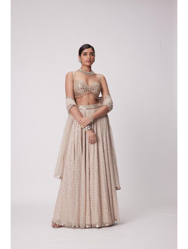 Vvani Vats -LIGHT BEIGE GEORGETTE LEHENGA PANTS SET