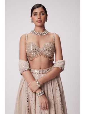 Vvani Vats -LIGHT BEIGE GEORGETTE LEHENGA PANTS SET - Image 3