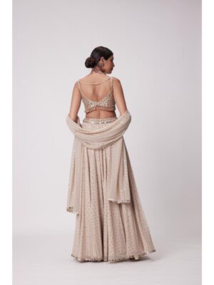 Vvani Vats -LIGHT BEIGE GEORGETTE LEHENGA PANTS SET - Image 2