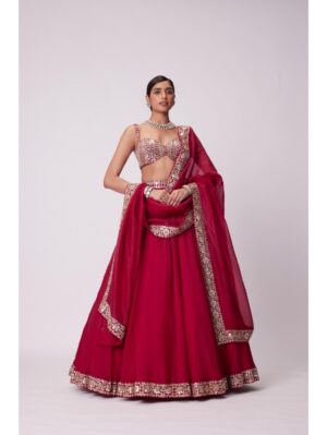Vvani Vats - CRIMSON RED ORGANZA LEHENGA SET - Image 2