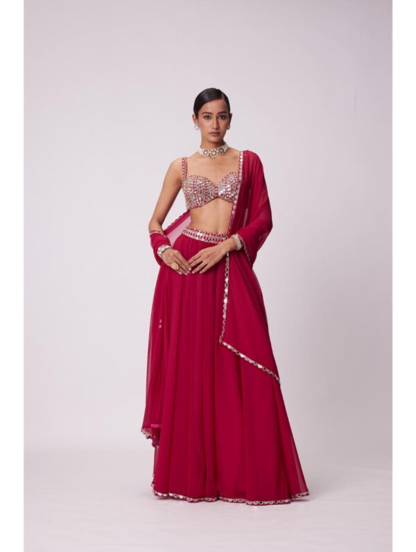 Vvani Vats - CRIMSON RED LEHENGA PANTS SET