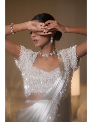 Mehul Gupta - Silver saree - Image 2