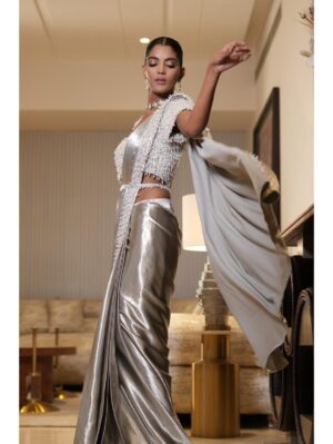 Mehul Gupta - Silver saree - Image 7