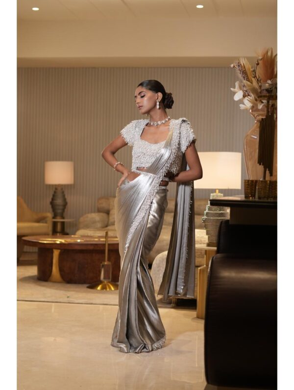 Mehul Gupta - Silver saree