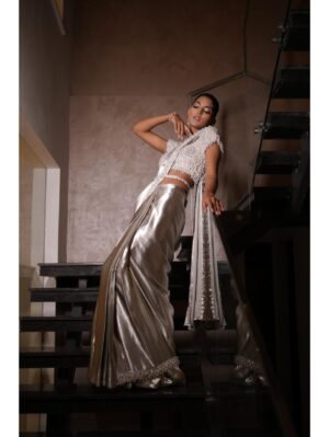 Mehul Gupta - Silver saree - Image 5